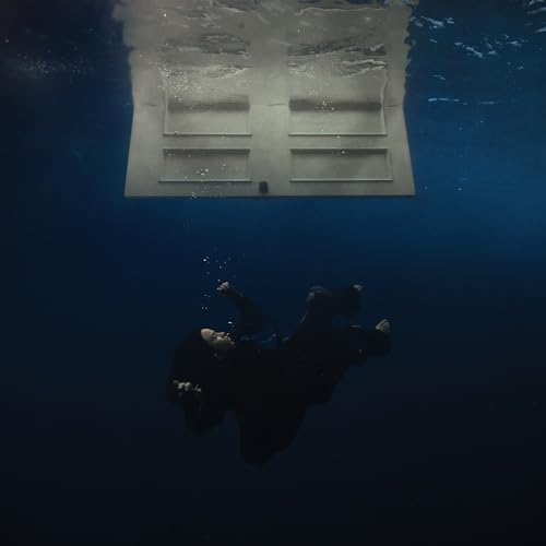 HIT ME HARD AND SOFT - Billie Eilish [12 Zoll Analog]