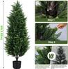 Artificial 120cm Set of Artificial Pine and Cypress Trees with Features photocatalytic realistic easy care watering and no Suitable for indoor and