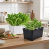 Plastic Soil-Free Planting Box Self Watering Nursery Pots  Vegetable Growing