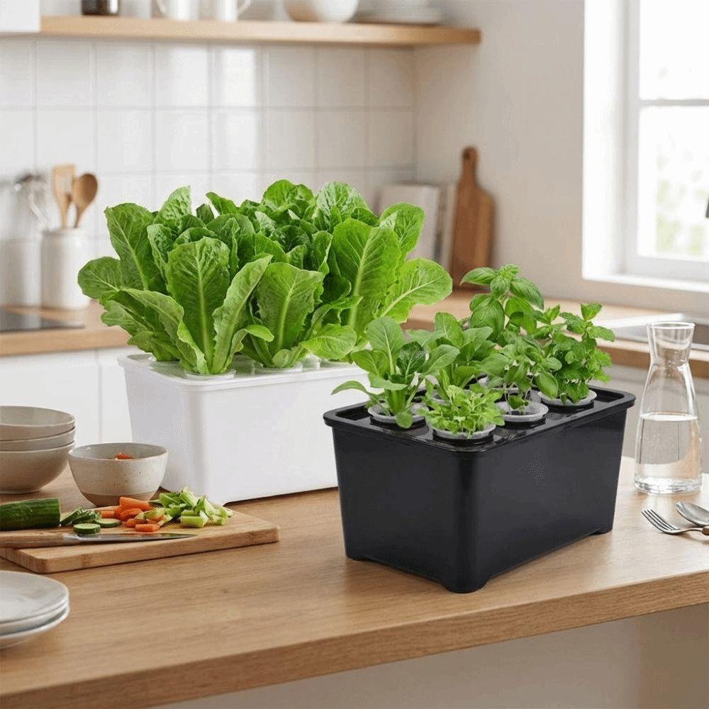 Plastic Soil-Free Planting Box Self Watering Nursery Pots  Vegetable Growing