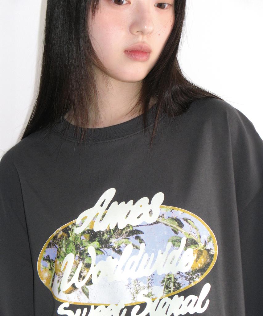 AMES-WORLDWIDE Palm Tree Oval Tee Charcoal
