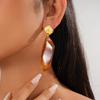 Resin Irregular Geometric Silver Needle Earrings Autumn and Winter Fashion Maillard Earrings