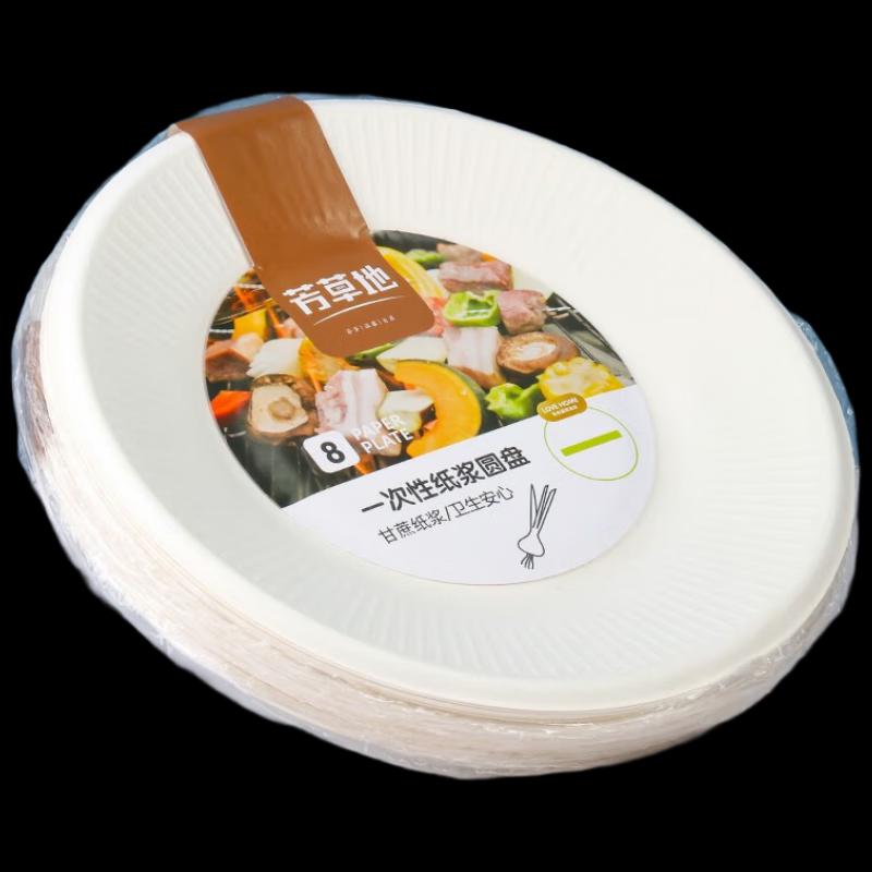 

Disposable Picnic Paper Plates