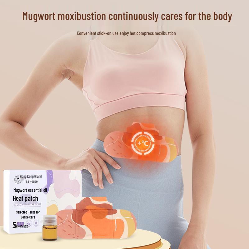 

Полынный самонагревающийся травяной пластырь с эфирным маслом: Согреватель для шеи, талии и коленей для облегчения влажности