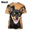 Chihuahua Dog T-Shirt 3D Printed Dog T-Shirt Fun Short Sleeve Cute Top for Boys