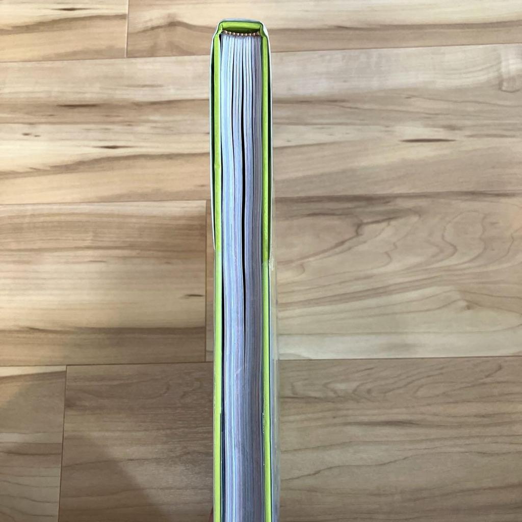 [USED] SHAG the Art of Josh Agle | SHAG Art Book