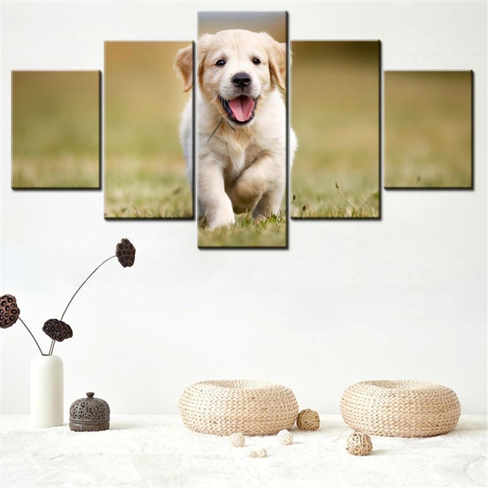 

5 Pieces Canvas Wall Arts Poster Painting Golden Retriever Puppy Aburst Of Joy In Modern Home Decor For Living Room Artwork 20X35 20X45 20X55CM