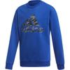 adidas Grade School Sweatshirts Crew Neck Moderate ED6404