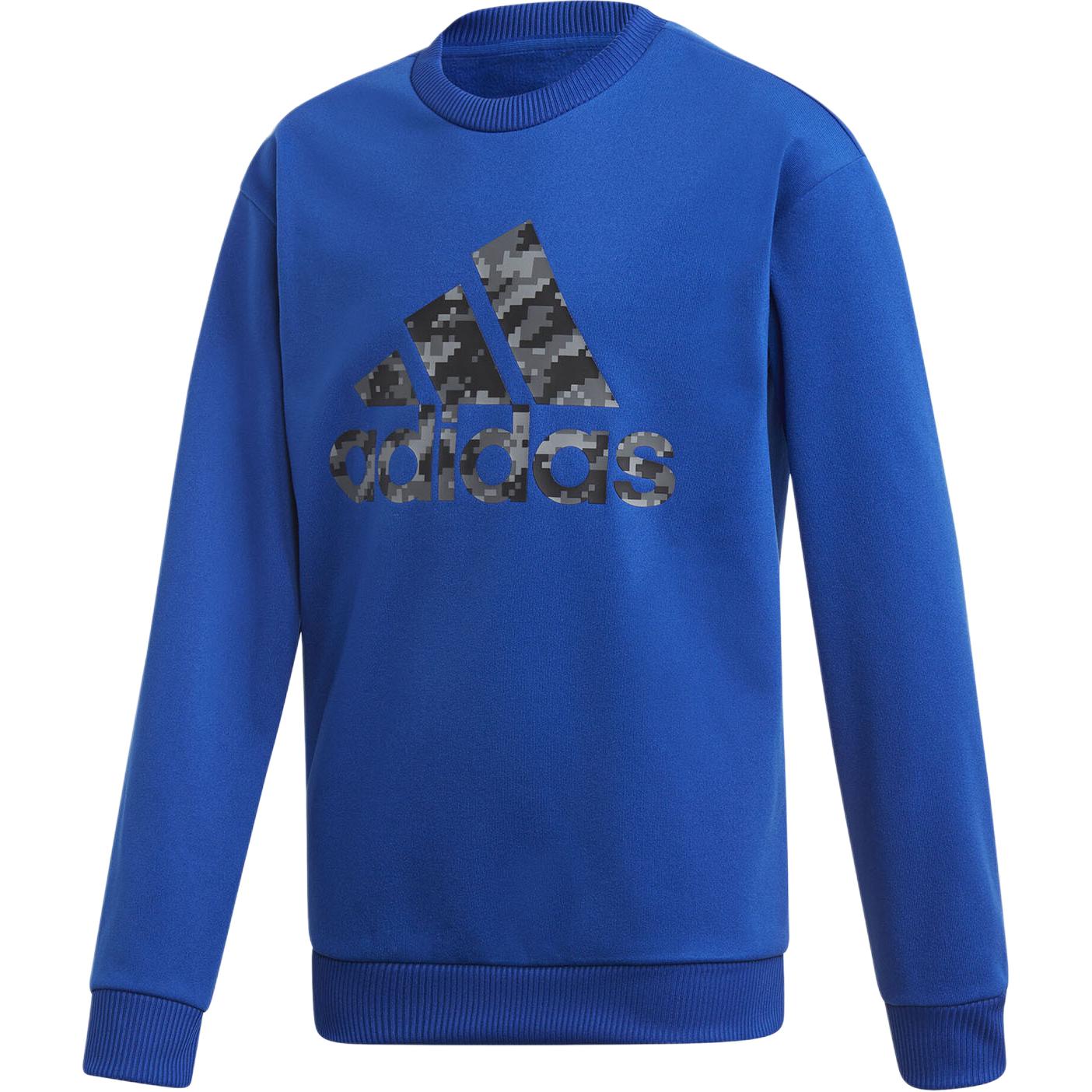 Adidas Grade School Sweatshirts Crew Neck Moderate ED6404 140