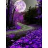 DIY 5D Diamond Painting Landscape Full Moon Cross Stitch Kit Rhinestone Diamond Embroidery Mosaic Art Home Decoration Picture