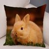 Sofa Car Home Decor Cute Rabbit Cushion Cover Bedroom Living Room Pillowcase Pet Animal Pillowcase