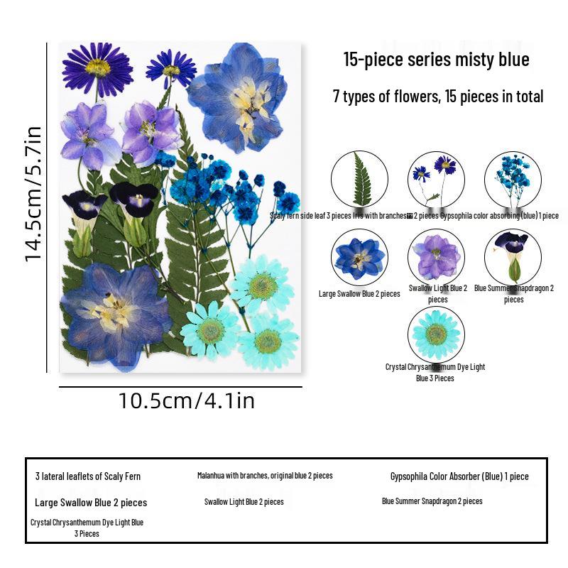 DIY Dried Flower Specimen Sticker Set for Kids: Handmade Pressed Flower Frames & Resin Bookmark Craft Kit