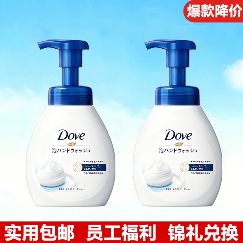 Dove Gentle Moisturizing Bubble Hand Wash Twin Pack