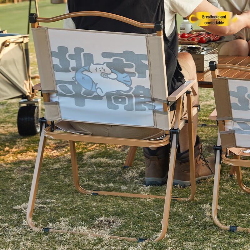 Aoran Portable Outdoor Folding Chair