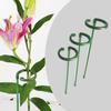 10Pcs Plastic Plant Supports Flower Stand Reusable Protection Fixing Tool Gardening Supplies for Vegetable Holder Bracket
