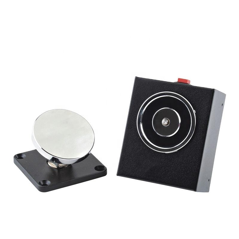 DC12V 24V 50kg 110lbs Iron Modern