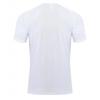 Men's 2024 Summer Quick-Dry Short Sleeve Sports Top - Round Neck, Loose Fit, Casual Fitness Running Tee