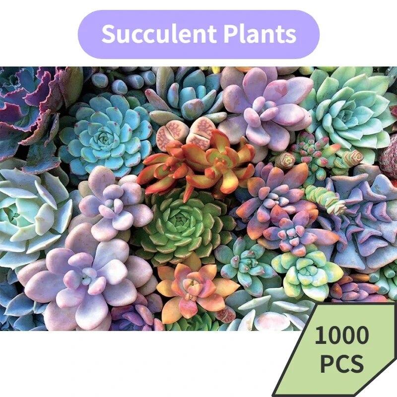 

75*50cm Paper Jigsaw Puzzle 1000PCS Succulent Plants Adults Stress Relief Children Educational Entertainment Toys Christmas Gift