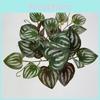 Fake Ipomoea Batatas Leaf Wall Decoration With Realistic Foliage For Home Office And Events