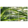 Three Piece Picture Canvas Print Green Leaves