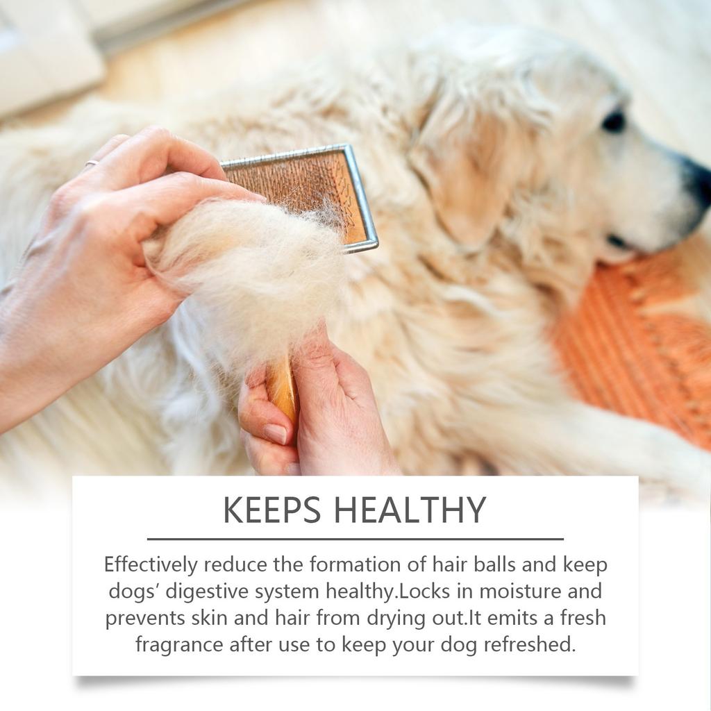 Deo-Shampoo für Hunde Geeignet für alle Hunde Reinigt das Fell und desodoriert Tränenfrei Haustierfreundliches Shampoo 100 ml
