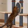 39.4"x15.8" Cat Scratching Mat Self-Adhesive Trimmable DIY Cat Scratcher Pad for Couch Wall Doors Cat Trees Anti-Scratch Furniture Protector