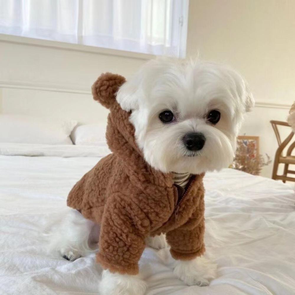 Cartoon Bear Pattern Plush Dog Hoodie Zipper Pet Clothes New Cats Coat Jackets for Large Small Pet