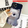 2DFlat Fluffy White Kitten with Blue Eyes All Inclusive Film Hard iPhone Case, Compatible with iPhone 18 Pro Max 17 16 15 14 13 12 11