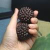 Agarwood Durian Massage Handball – Solid Black Wood Fitness Grip Ball