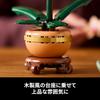 LEGO Botanical Mini Flower Bouquet Decorative Toy Gift for Birthdays and Special Occasions Home Decor 10343