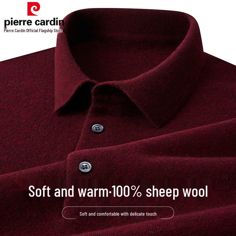 

Чоловічий светр-гольф Pierre Cardin зі 100% вовни мериноса M