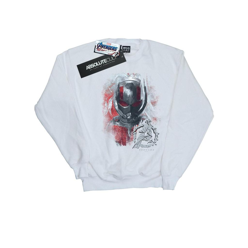 Marvel Mens Avengers Endgame Ant-Man Brushed Sweatshirt