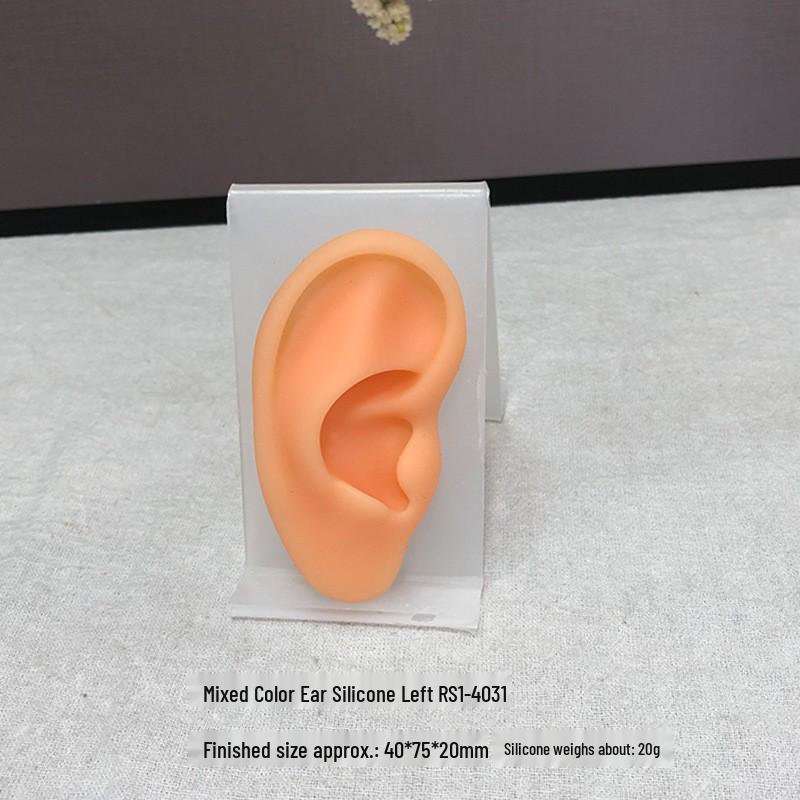 Silicone Ear Model for Piercing Jewelry Display