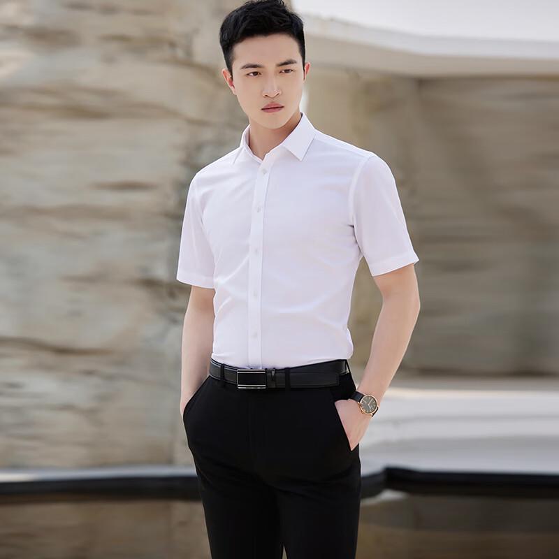 Terman Unisex 98% Cotton Non-Iron Short-Sleeve Formal Shirt