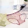 Lace Underwear Lingerie for Women Transparent Sexy Panties