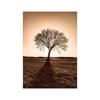 Canvas Painting Autumn Natural Poster Sunset Tree House Grass Reed Wheat Wall Art Print Pictures Living Room Home Decor