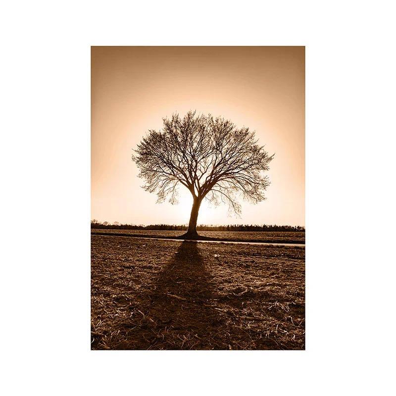 Canvas Painting Autumn Natural Poster Sunset Tree House Grass Reed Wheat Wall Art Print Pictures Living Room Home Decor