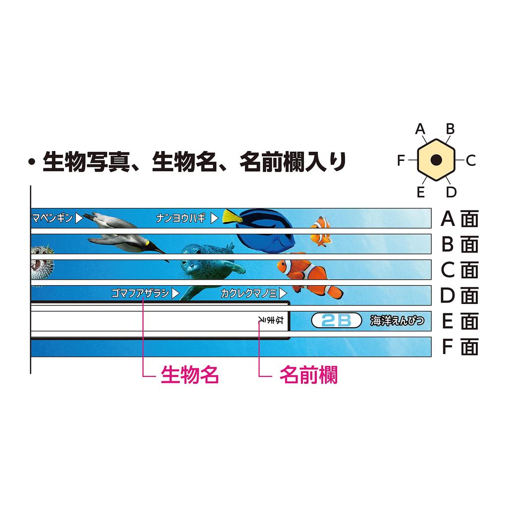 Kutsuwa Marine Bleistift 2B PA026