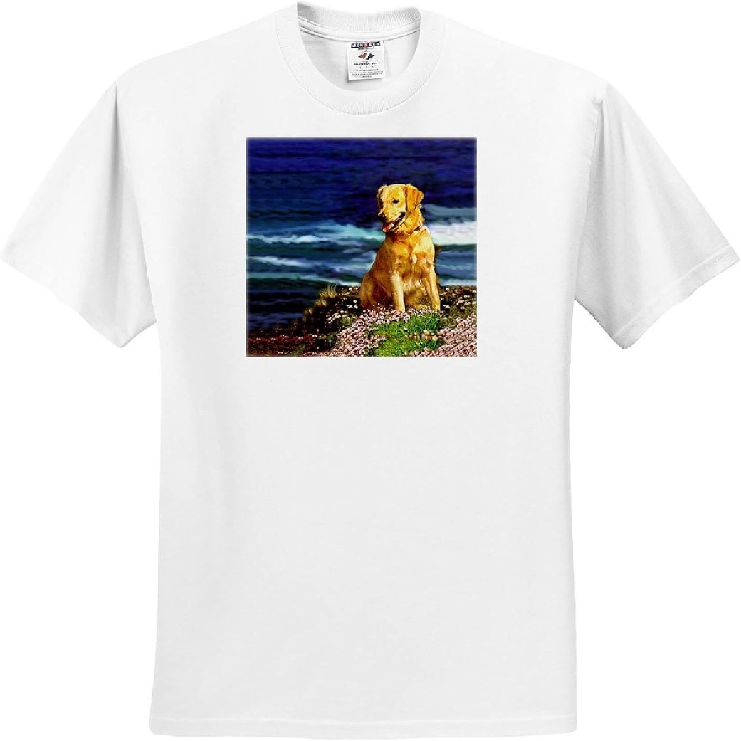 3dRose, Golden Retriever, T-Shirt XXXXXL белый