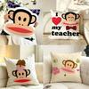 Brand ppaulFFrank Cushion Cover Pillow Case Antidustmite Pillowcase Silky Short Plush Sofa Cushion Cover Hot