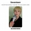 Seventeen WORLD TOUR BE THE SUN CARAT ZONE Official Photocard