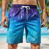 Men's Gradient Leaf Swim Trunks Surf Trunks Shorts Fashion Street Trend Casual Daily Vacation Elastic Waist Design Clothing