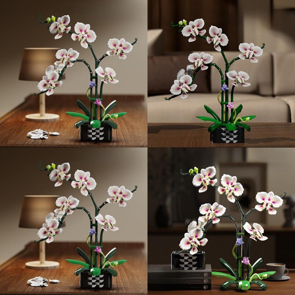 Cymbidium Building Block Toy With Abs Plastic For Children Diy Creative Play Gift