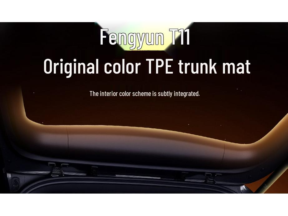 Fengyun T11 Trunk Mat: TPE25 Chery Car Interior Floor Mats