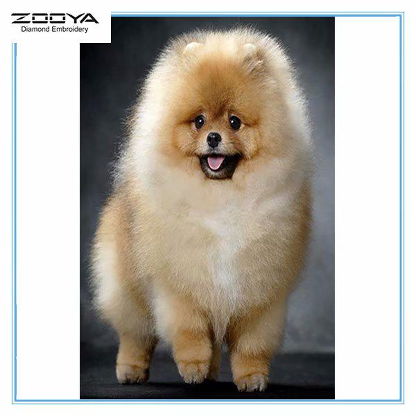 

ZOOYA 3D Алмазная вышивка Картина Вышивка крестом Круглый горный хрусталь Картина Животное собака