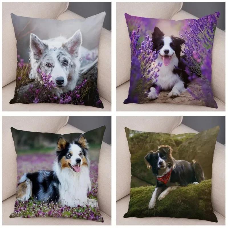 Cute Scottish Border Collie Pillowcase Dog Print Decor Pet Animal Cushion Cover Sofa