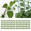 Garden Plant Support Clips, Adjustable Plant Stem Benders Suitable for Indoor Outdoor Gardening Effective Growth Control