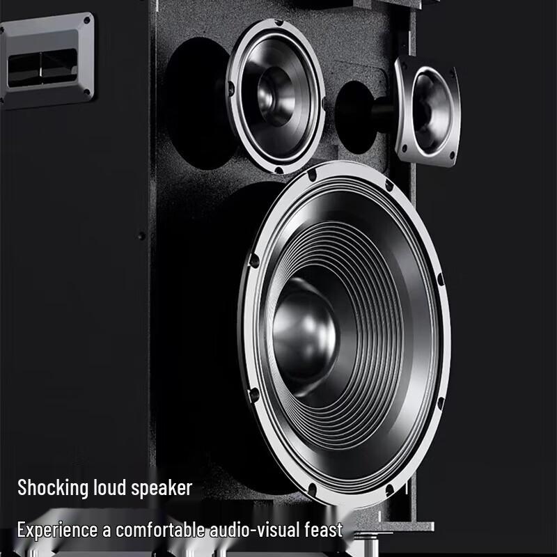 Malata Portable Karaoke Speaker System with 12-inch Display (CN version)