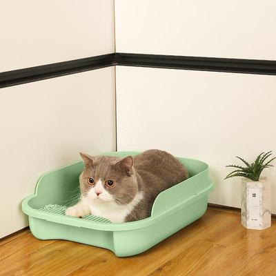 Gatos – Cuidados de gatos