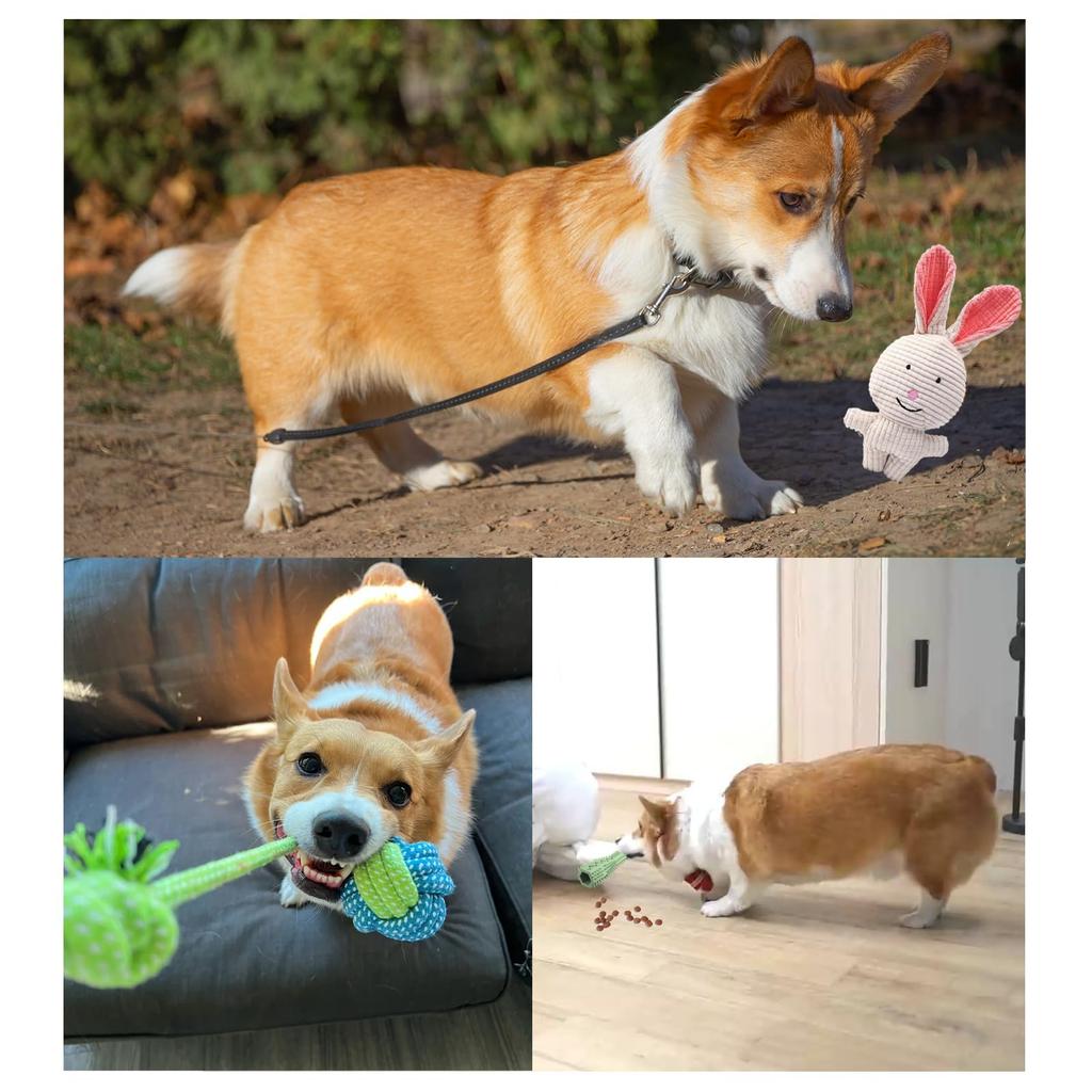 Dog Pet Toy Hexagonal Teething Stick for Dogs with Tug Rope for Cute Sound Bunny Plush Birthday Gift Box for Puppies Toys, 7-Piece Set, Ball, Puppies,